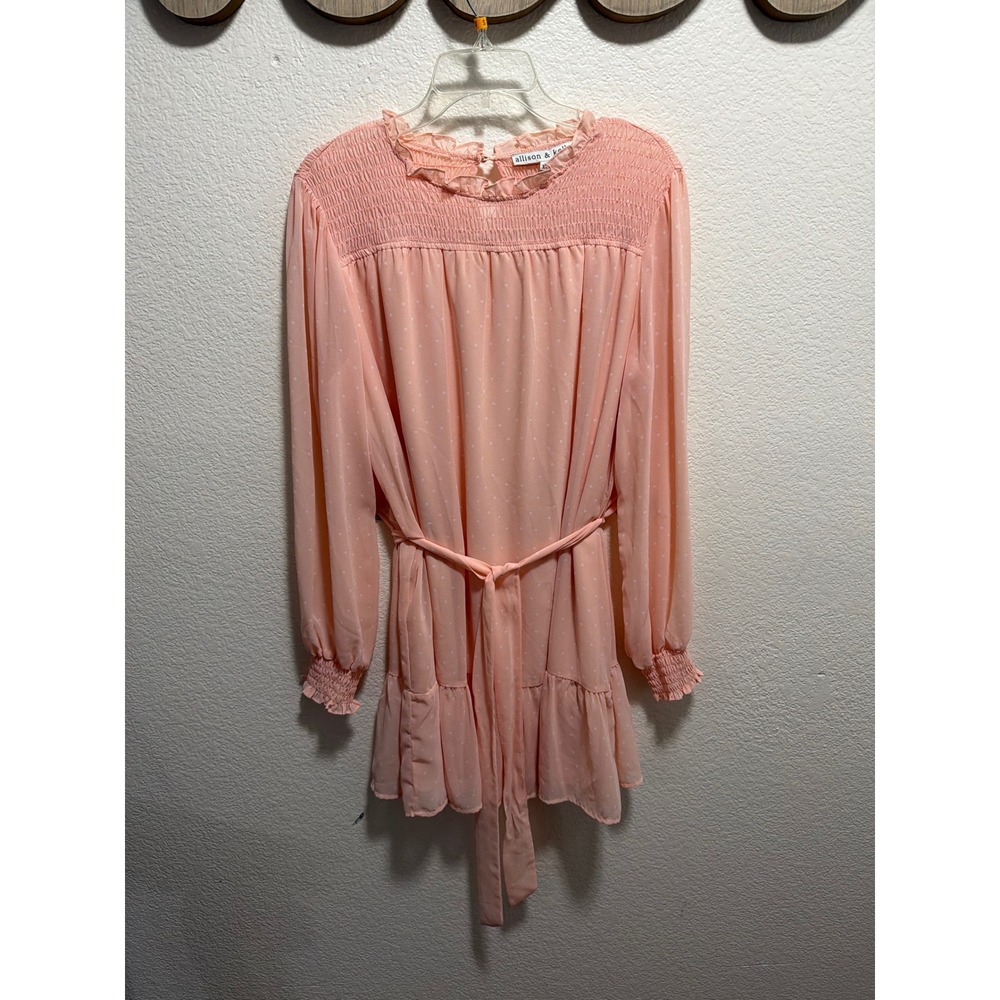 Allison Kelly Women's XL Pink Swiss Dot Smocked Ruffle Long Sleeve Belted Dress